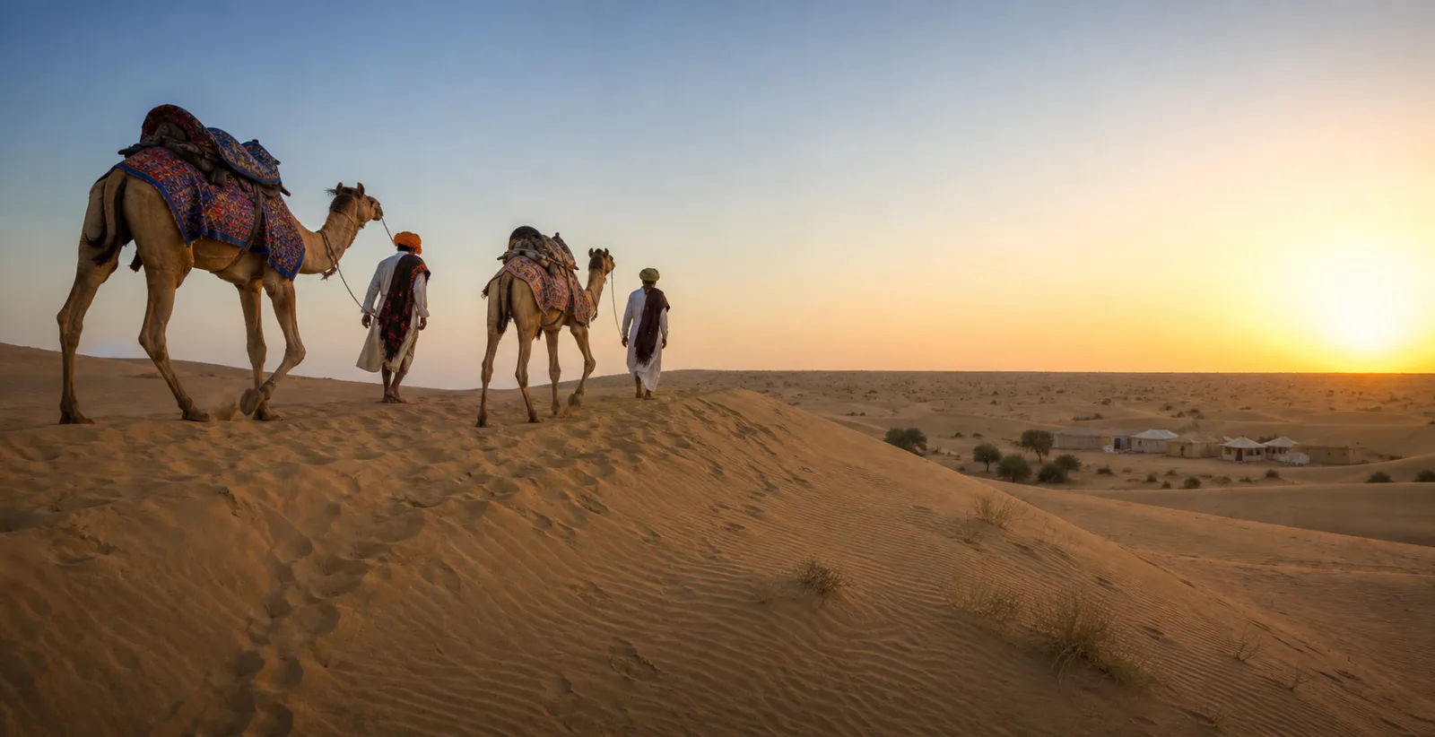 Camel safari crossing the Thar Desert near Jaisalmer at sunrise