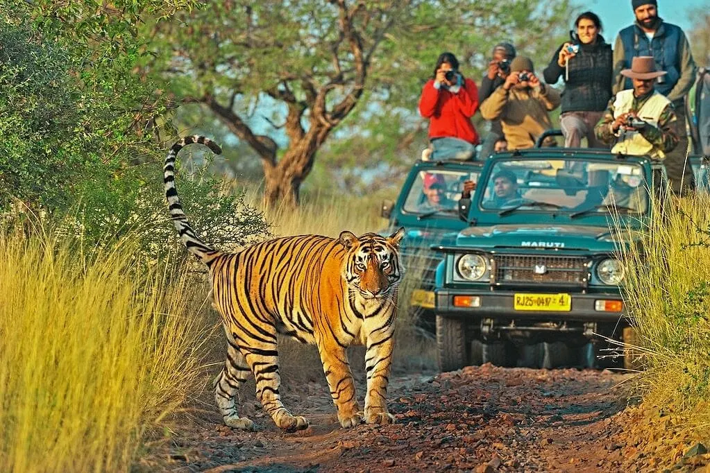 Wildlife Heritage Tour Package