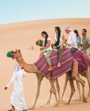 Camel Safari