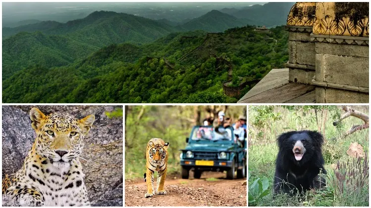Kumbhalgarh Jeep Safari
